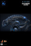 Hot Toys - Alien Warrior - Aliens - Deluxe Version