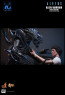 Hot Toys - Alien Warrior - Aliens - Deluxe Version