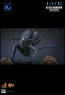 Hot Toys - Alien Warrior - Aliens - Deluxe Version