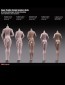 Phicen Female Small Size Body Medium Breast Pale Version - S26A