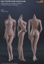 Phicen Female Seamless Body Middle Breast Size Suntan Series S02A