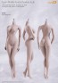 Phicen Female Seamless Body Large Breast Size Pale Series S04B