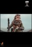 Hot Toys - Kuiil und Blurgg - Star Wars: The Mandalorian