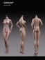 Phicen Female Medium Size - Medium Breast Sutan Version - S25B