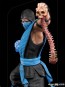 Iron Studios - Sub-Zero - Mortal Kombat - Art Scale Statue