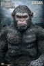 Star Ace - Caesar - Spear Version - Dawn of the Planet Apes - Soft Vinyl Statue